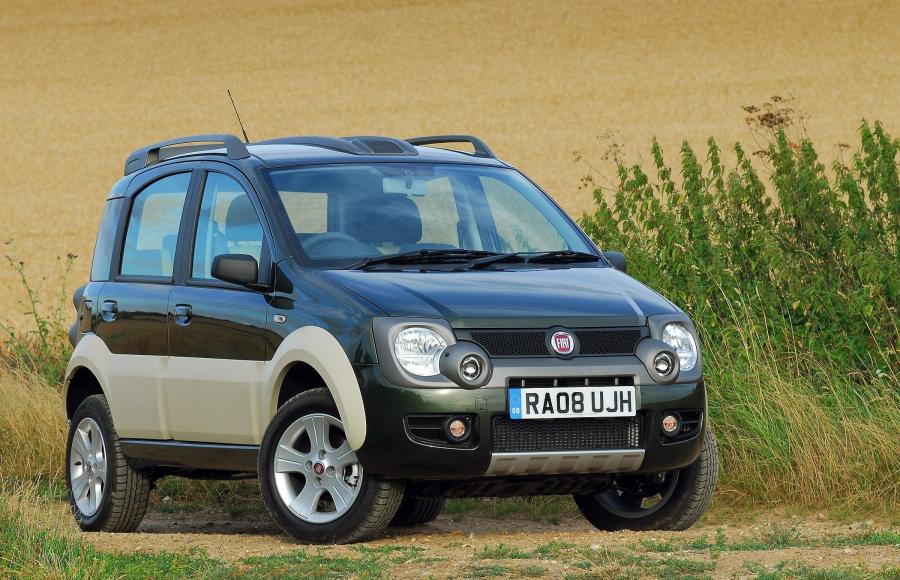  Fiat Panda Cross 2008 года  (фото 19 из 19)